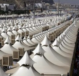 17.07.2020 –  08.08.2020